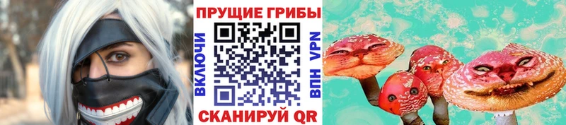 Галлюциногенные грибы Psilocybe  как найти наркотики  Аркадак 